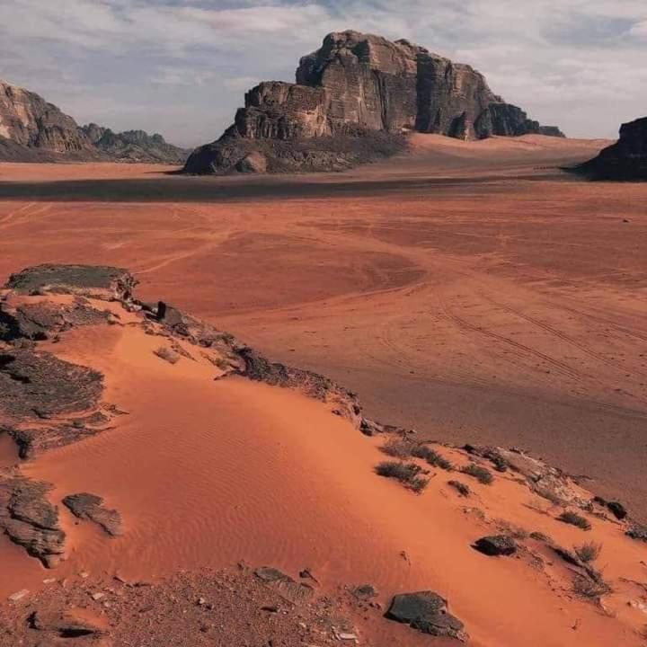 Wadi Rum Nature Exteriör bild